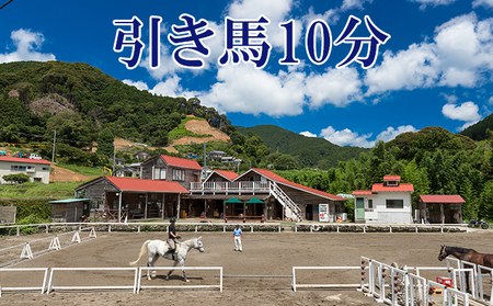 天城ホースビレッジ 施設利用券 引き馬10分(にんじん付き) 体験チケット