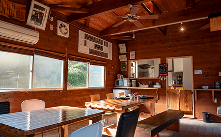 天城ホースビレッジ 施設利用券 引き馬10分(にんじん付き) 体験チケット