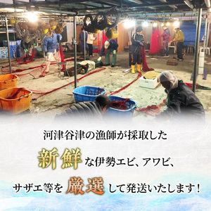 【アワビについて注意事項あり】海鮮セット 定期便 年2回 水産 伊勢海老 刺身 おかず