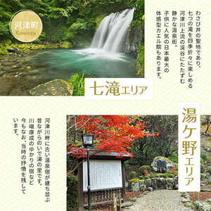 宿泊券 たっぷり河津旅 15,000円分 宿泊補助券 ホテル 旅館 温泉宿 高級宿 旅行券