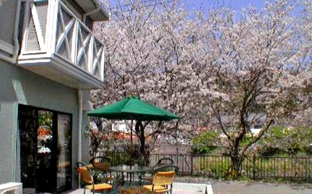 河津温泉・くつろぎの宿 かわづの里宿泊補助券 30,000円分 チケット