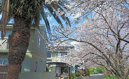河津温泉・くつろぎの宿 かわづの里宿泊補助券 30,000円分 チケット