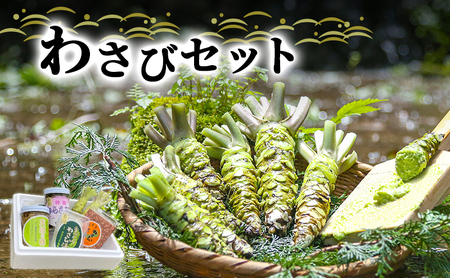 とれたて わさび セット 滝 生産者直送 生わさび 2本 手作り わさび漬け 天城の春 三杯酢漬け わさびみそ むらさき漬 醤油漬け 伊豆 ワサビ 茎 加工品 加工食品 薬味 詰め合わせ 静岡 調味料