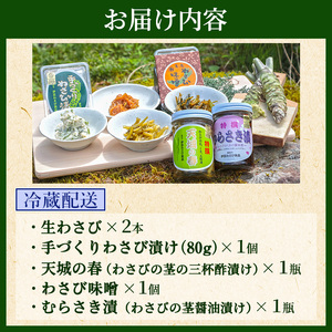 とれたて わさび セット 滝 生産者直送 生わさび 2本 手作り わさび漬け 天城の春 三杯酢漬け わさびみそ むらさき漬 醤油漬け 伊豆 ワサビ 茎 加工品 加工食品 薬味 詰め合わせ 静岡 調味料