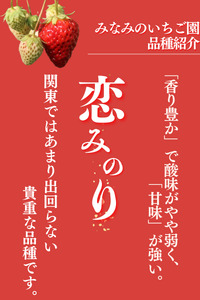 【先行予約＿2026年出荷分】 完熟いちご 恋みのり 280g 2パック（DXパック）【 苺 いちご フルーツ 果物 】