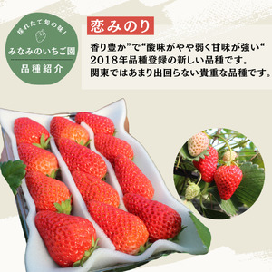 いちご【3~5月発送】恋みのり 4パック×280g 完熟いちご