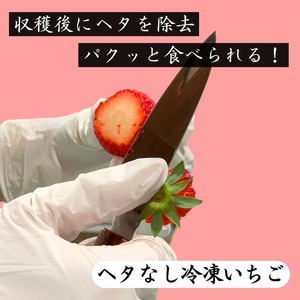 【先行予約_2026年発送】地元JA品評会金賞受賞　冷凍イチゴ3Kg　【 フローズン ストロベリー スムージー 苺 いちご  】 