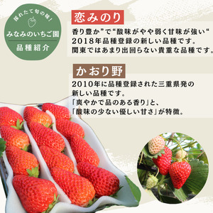 【先行予約＿2026年出荷分】完熟冷凍イチゴ　3kg（約11.4パック相当） 恋みのり、かおり野　から厳選　　【 いちご 果物 ブランドいちご いちご 苺 いちご 静岡いちご 苺 冷凍いちご 】