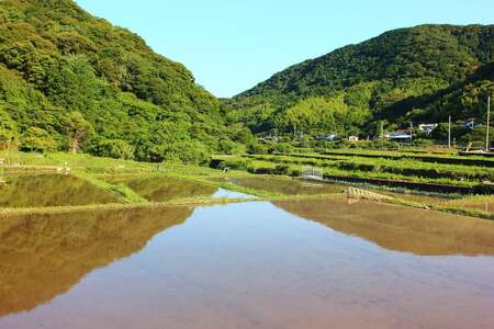 【2025年12月発送】~ 完全無農薬 ~ 『 自然栽培玄米で作った玄米麺 18袋 』 はぐくみ農園 　【 グルテンフリー 】　