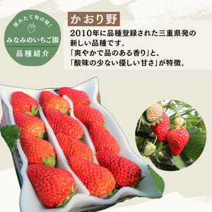 いちご【3～5月発送】かおり野 4パック×280g 完熟いちご