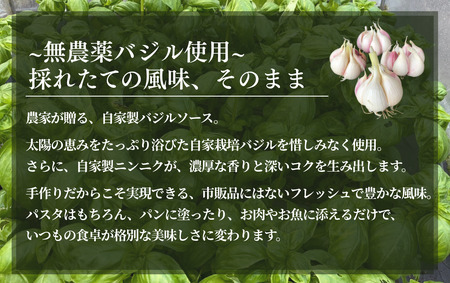 農家の手作りバジルソース 150g×3個　【 バジル 】　