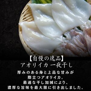 【伊豆漁協加工・直送！】アオリイカ一夜干し 3枚　【 イカ 】