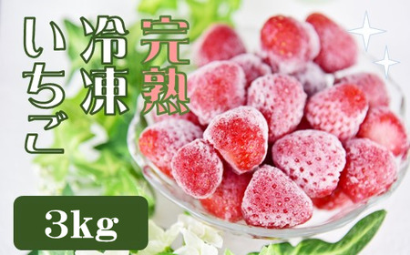 【先行予約＿2026年出荷分】特別賞受賞！完熟 冷凍いちご BabyBerryFarm（3kg）　【 フローズン ストロベリー スムージー 苺 いちご 】