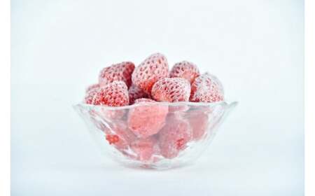 【先行予約＿2026年出荷分】特別賞受賞！完熟 冷凍いちご BabyBerryFarm（3kg）　【 フローズン ストロベリー スムージー 苺 いちご 】