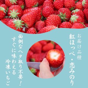 【先行予約＿2026年出荷分】特別賞受賞！完熟 冷凍いちご BabyBerryFarm（3kg）　【 フローズン ストロベリー スムージー 苺 いちご 】