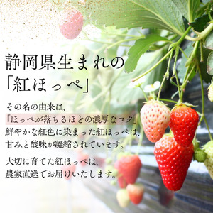【先行予約＿2026年出荷分】いちご 紅ほっぺいちご 280g×2パック