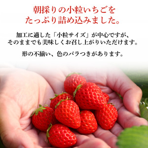 大容量 小粒いちご  【 いちご 】