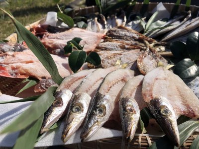 ひもの詰め合わせセット・　【 干物 ひもの セット 詰め合わせ 静岡県産 伊豆 魚介類 アジ 金目鯛 キンメ きびなご みりん かます 冷凍 人気 おすすめ 】