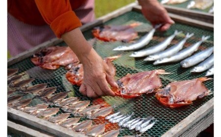 ひもの詰め合わせセット・　【 干物 ひもの セット 詰め合わせ 静岡県産 伊豆 魚介類 アジ 金目鯛 キンメ きびなご みりん かます 冷凍 人気 おすすめ 】