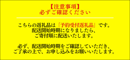 【先行予約】　南伊豆産冷凍イチゴ1kg　【 紅ほっぺ いちご 果物 フルーツ 苺 イチゴ くだもの 冷凍 冷凍いちご 冷凍イチゴ 静岡県 南伊豆町 ふるさと納税 産地直送 】