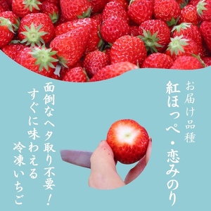 【2026＿出荷分】特別賞受賞！完熟 冷凍いちご BabyBerryFarm（2kg）【 フローズン ストロベリー スムージー 苺 いちご 】
