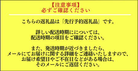 伊勢海老セット[Ａ]　【 伊勢海老 伊勢海老 伊勢海老 伊勢海老 伊勢海老 伊勢海老 】