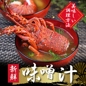 伊勢海老セット[Ａ]　　【 伊勢海老 いせえび 】