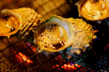 ドでかい！S級さざえ　　【 サザエ 】