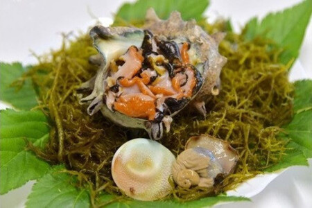 ドでかい！S級さざえ　　【 サザエ 】