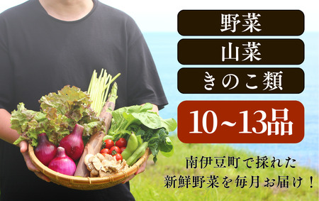 海まち野菜の3ヶ月の定期便　【 野菜 やさい きのこ 山菜 セット 定期 旬 定期便 人気 詰め合わせ 3ヵ月 おまかせ 新鮮 】