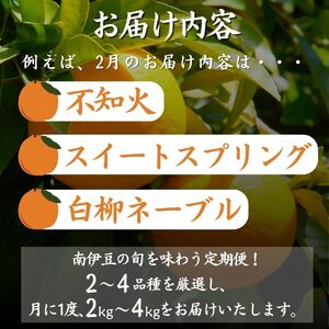 【全3回】旬の柑橘セット 3か月間の定期便　【 定期便 フルーツ定期便 みかん定期便 柑橘定期便 果物定期便 フルーツセット みかんセット 柑橘セット 果物セット フルーツ詰め合わせ みかん詰め合わせ 柑橘詰め合わせ 果物詰め合わせ 】