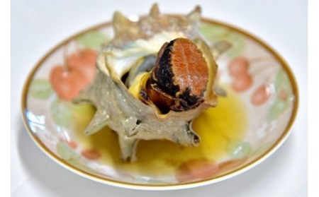 さざえセット[D]　【 サザエ 】