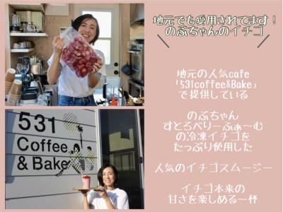 【2026年発送予定】いちご 完熟冷凍いちご 3kg