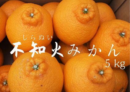 【先行予約_2025年2月上旬から配送】湯の花　不知火５kg箱セット