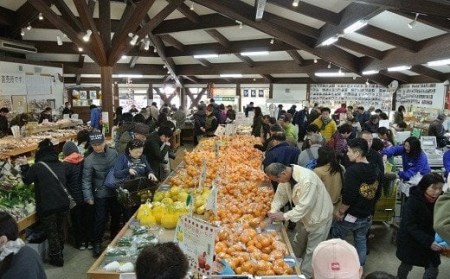 【先行予約_2025年2月上旬から配送】湯の花　不知火５kg箱セット