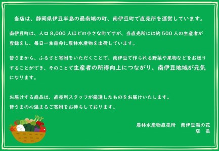 【先行予約_2026年出荷分】湯の花 はるみ10kg箱セット 【 はるみ 】