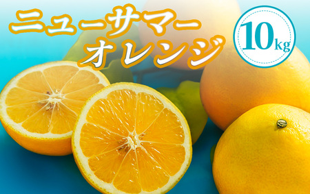 【先行予約＿2026年出荷分】湯の花 伊豆の香りニューサマーオレンジ 10kg箱セット　【 日向夏 ニューサマーオレンジ 日向夏セット ニューサマーオレンジセット 果物 果物セット】