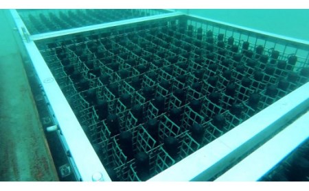 持ち込み海底熟成サービス