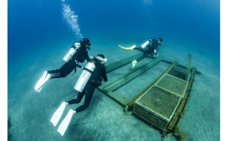 持ち込み海底熟成サービス
