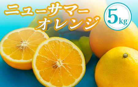 【先行予約＿2026年出荷分】湯の花　伊豆の香りニューサマーオレンジ　5kg箱セット　　【 日向夏 ニューサマーオレンジ 日向夏セット ニューサマーオレンジセット 果物 果物セット】
