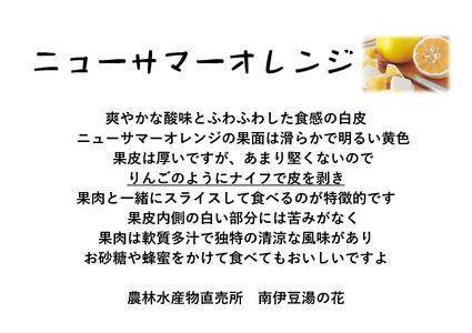 【先行予約＿2026年出荷分】湯の花　伊豆の香りニューサマーオレンジ　5kg箱セット　　【 日向夏 ニューサマーオレンジ 日向夏セット ニューサマーオレンジセット 果物 果物セット】