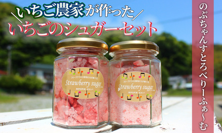 【予約受付】手作りいちごのシュガーセット2本入り