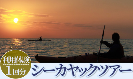 南伊豆シーカヤックツアー　体験1回分 　【 カヤック 】