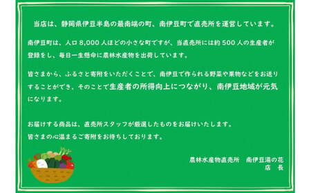 【先行予約】湯の花　伊豆の香りニューサマーオレンジ　３kg