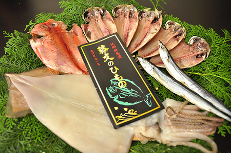 藤文の「西風ひものセット」 さんま サンマ 秋刀魚 さんまはりこ 鯵 あじ いか 金目鯛 干物 一夜干し 西伊豆 伊豆 ギフト お歳暮 お中元