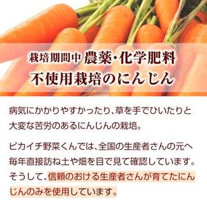 冷凍無添加ストレートにんじんジュース 100cc×30パック栽培期間中農薬/化学肥料不使用の人参使用_人参ジュース ニンジンジュース ジュース 飲料 野菜ジュース 100% ストレート 国産 無添加 リンゴ レモン 飲み物 冷凍_【配送不可地域：離島】【1217135】