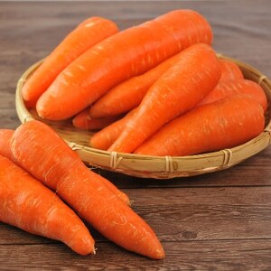 人参100%の無添加にんじんジュース(100cc×30パック)栽培期間中農薬化学肥料不使用のニンジン_にんじんジュース 無添加 健康 野菜ジュース_【配送不可地域：離島】【1228371】