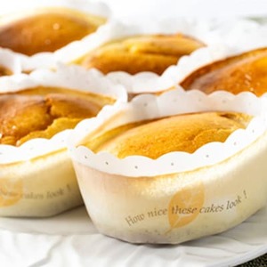 【チーズケーキ】函南ブランド認定品!素材にこだわった「丹那ミルクの里のフロマージュ」 6個入り_菓子・スイーツ ケーキ  _【配送不可地域：離島】【1481580】