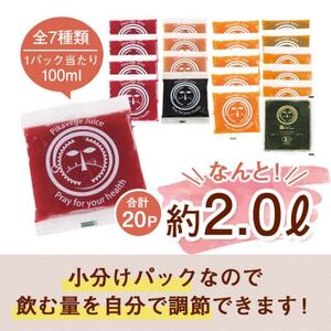 人参ジュース中心無添加コールドプレスジュースで行うファスティング ピカベジジュースクレンズ7種セット_飲料・ドリンク 野菜ジュース ジュース _【配送不可地域：離島】【1518782】