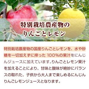 冷凍無添加にんじんりんごレモンジュース 2箱(合計60パック) 栽培期間中農薬/化学肥料不使用の人参【配送不可地域：離島】【1624501】